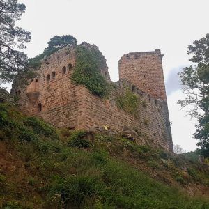 landsberg-chateau-alsace