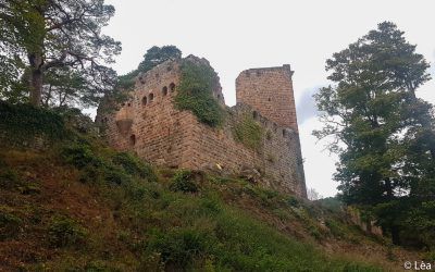 Hike to the Landsberg Castle (2h)