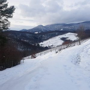 heritage-path-snow