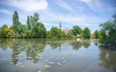 Bicycle ride to discover the Ried d’Alsace (3h)