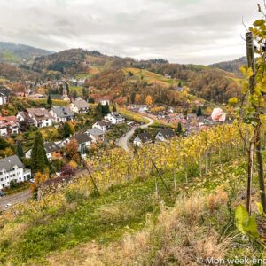 hike-sasbachwalden