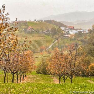 sasbachwalden-autumn