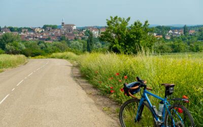 Bicycle ride “Beers and hops” in the Zorn region (1h30)