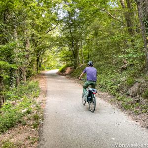 forest-road-velo