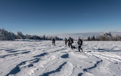 What to do in winter in Alsace 10 activity ideas