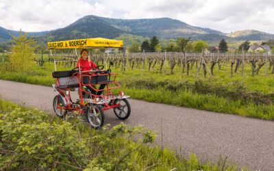 Surrey bike ride in Alsace – Les Rosalies du Piémont