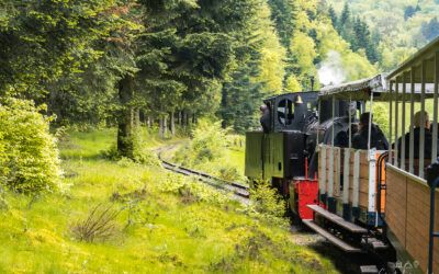 Train of Abreschviller – Journey in the small forest steam train