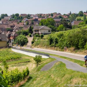 dahlenheim-wine-route-alsace