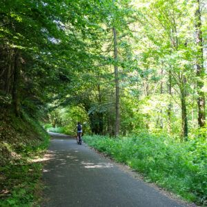 bike path-valley-orchard