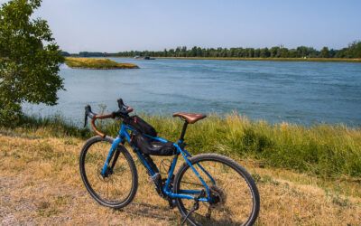 Cross-border cycling loop “Rhine activities” (2h)
