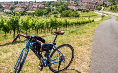 Cycling around Marlenheim vineyards (2h30)